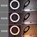 Ring Light LED 12 Polegadas + Tripé 2,1 Metros com Suporte de Celular - 9H A1201